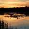 Amherst Point Migratory Bird Sanctuary