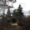 Amherst Point, NS, Migratory Bird Sanctuary, waiting for the snow...