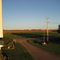 Afternoon potato field