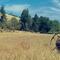 Fair Oaks, OR