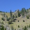 Round Timber Ridge
