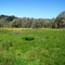 Yampa Flats