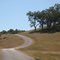 Country Road