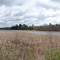 Odessa: Mill Creek wetlands