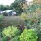 Display Gardens
