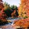 Fall Foliage II