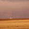 Grain Elevater