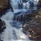 Coac Fall