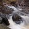 Waterloo Brook Fall I