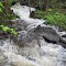 TCH  - Kilometer 249 Falls