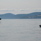 Tadoussac