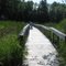 Beaver pond boardwalk