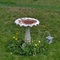 Great Grandfather's Bird Bath