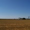 Taylor Road