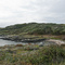 Mitlenatch Island in the fall 4