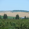 Near Drummond, NB
