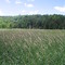 grey county road trip