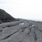 Limestone Beach at Port au Choix with amazing fossils on it