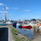 Port au Choix, New Foundland