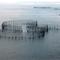 Grand Manan Herring Weir