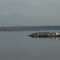 Peterview from Blueberry Hill King's Ridge in Botwood