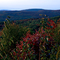 vue de la croix
