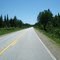 Route 311