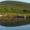 mill cove