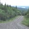 On the trail