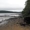 Alexis River, looking east