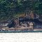 Cave East of Neah Bay