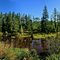 Hoko River Basin Panorama