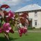 Knoxford New Brunswick