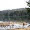 SUGARLOAF PARK,PRICHARD LAKE