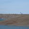 Maid Marion dragline