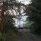 Backing Canoe To Salmon River