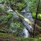 Chase Brook