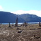 Comox Lake
