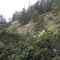 Comox Lake Bluffs Ecological Reserve