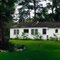 "The" Backyard
