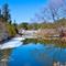 Scanlon Creek Falls