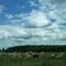 Somewhere along Hwy 400, ON, Canada