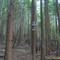Trailhead (2) - Skattebo Reach North, hiking started here