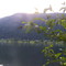 Farms by Kootenay River