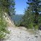 Mt Sentinal Old Logging Road
