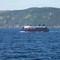 MV Flanders