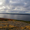 Bell Island