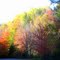 Autumn Drive