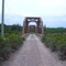 Railwaybridge, CNR