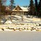 Early winter at the pond